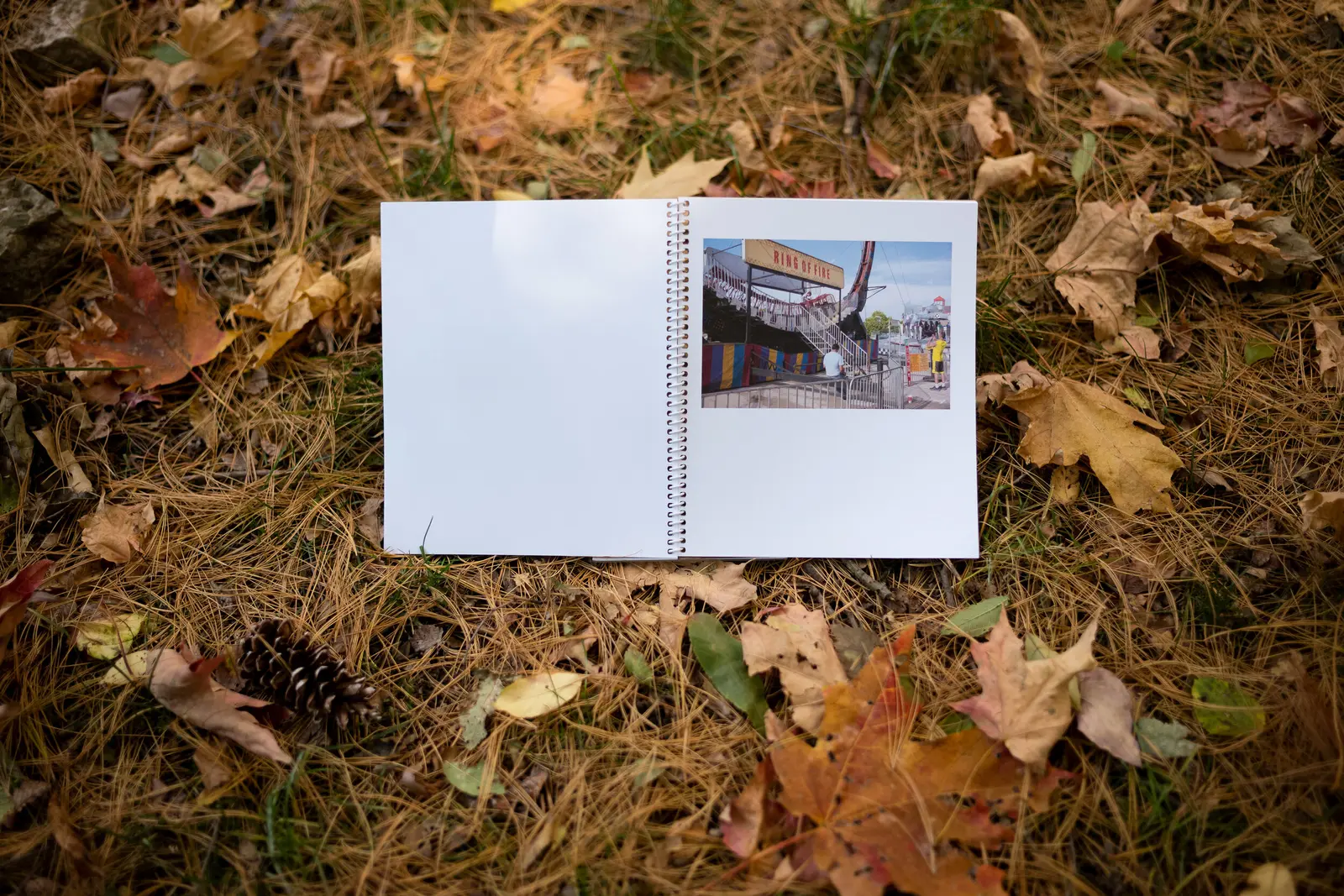 Middlescapes image 8