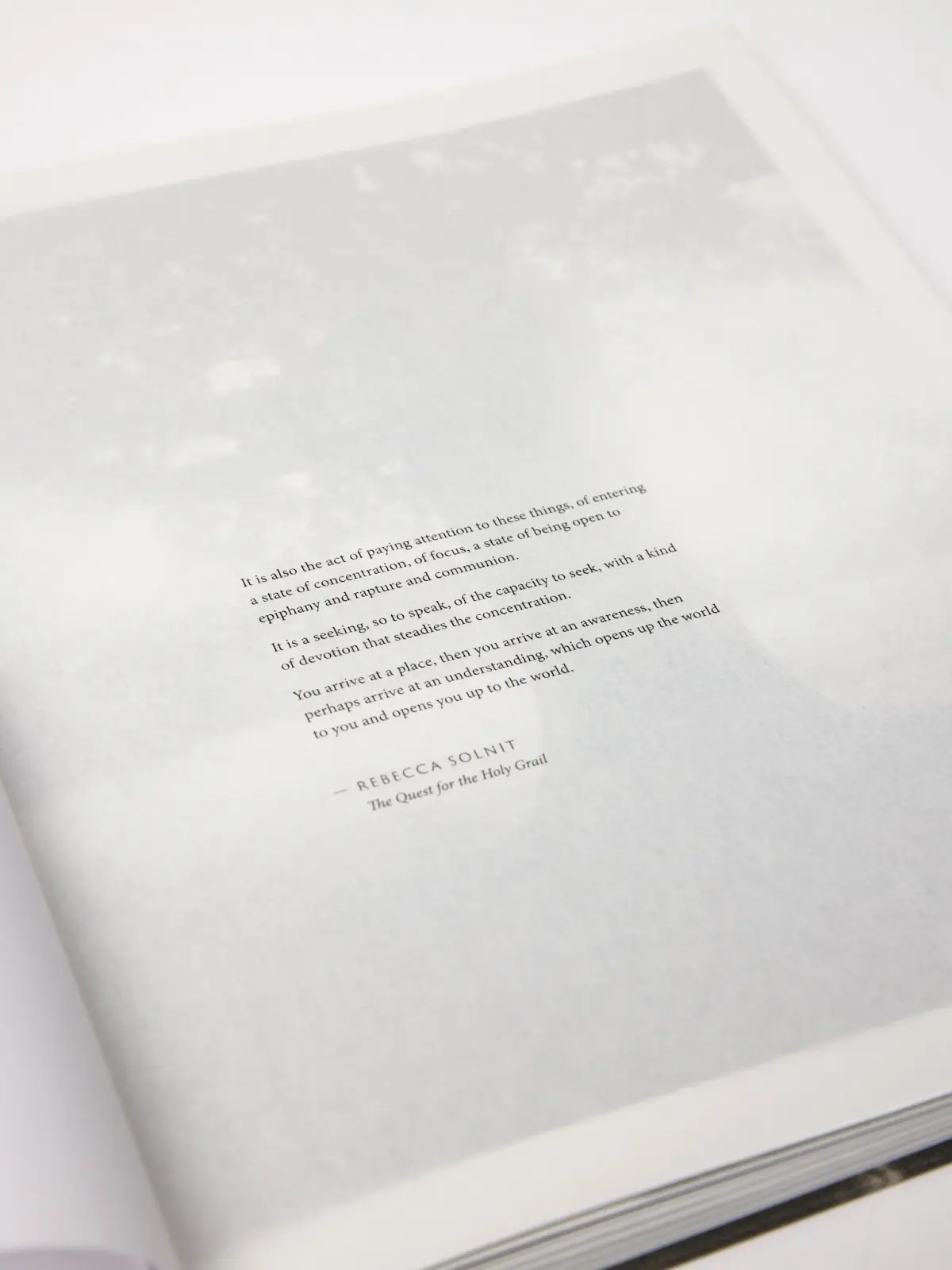 Lament image 4