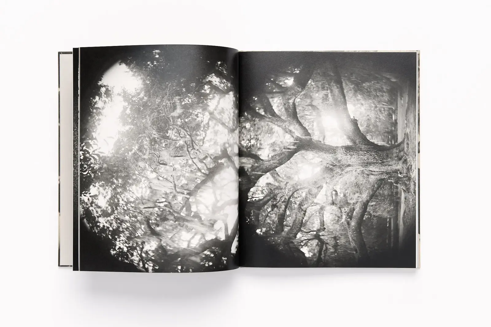 Lament image 5
