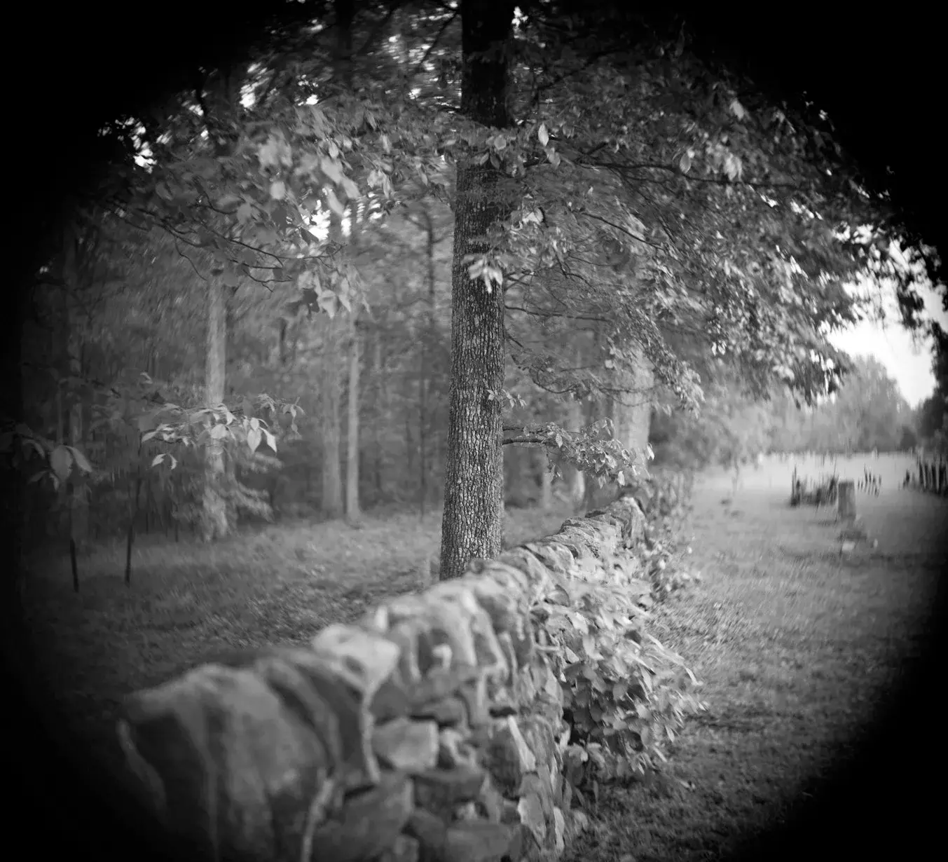 Lament image 7