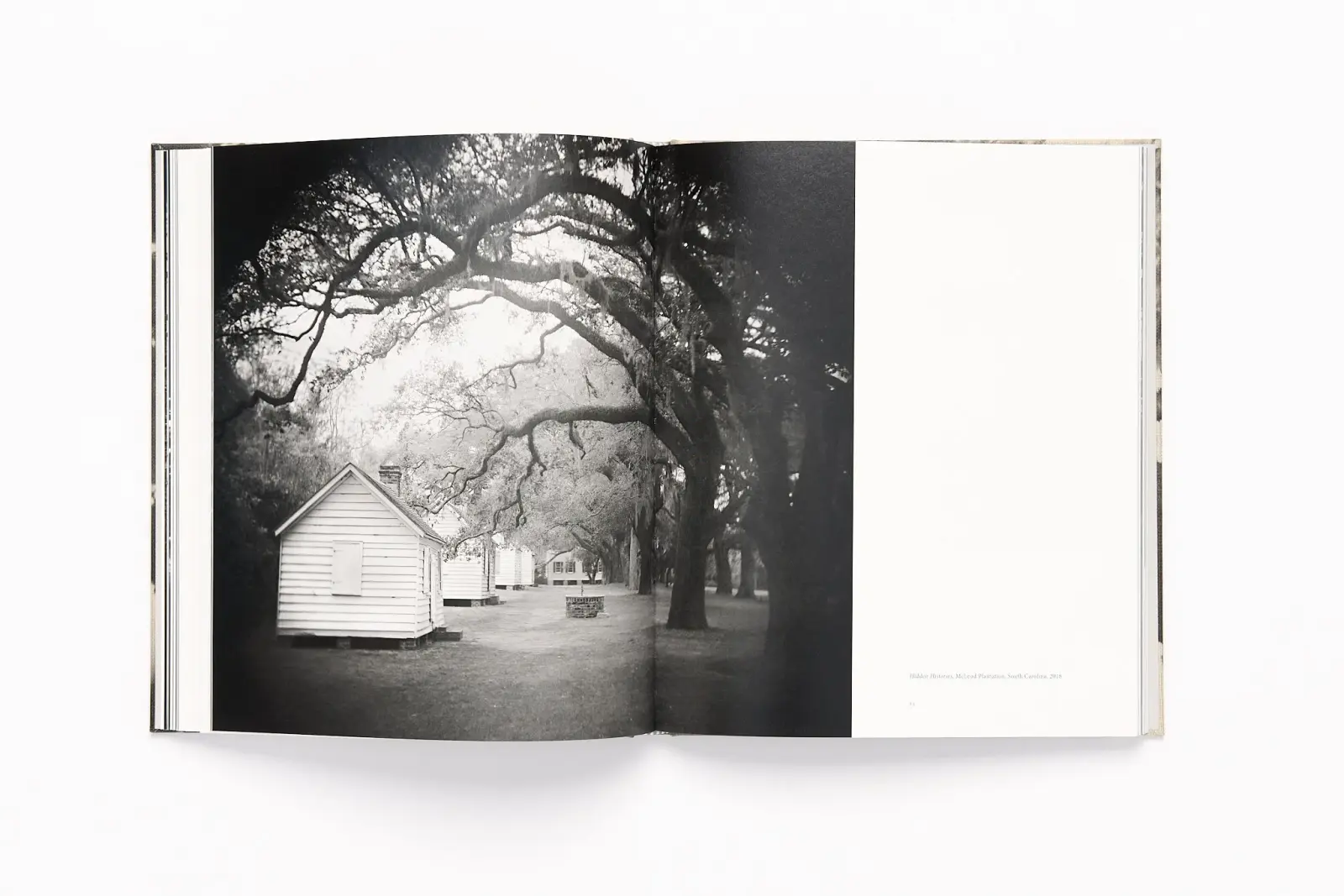 Lament image 8