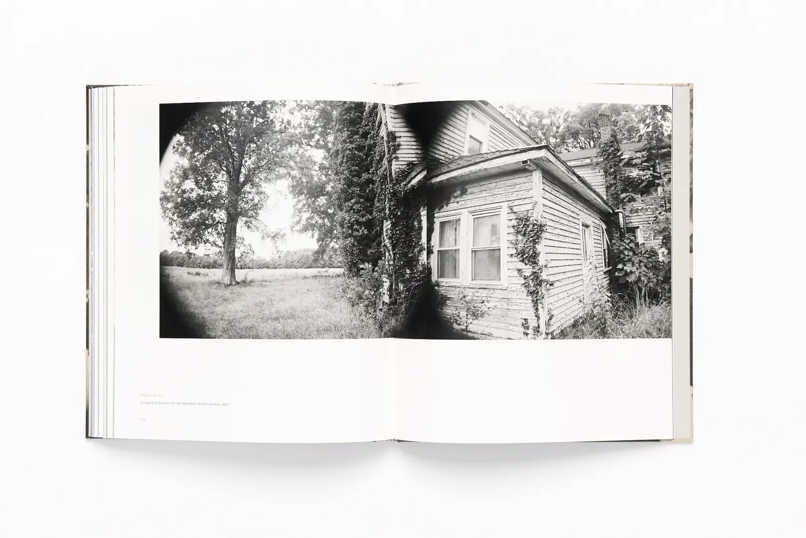 Lament image 10