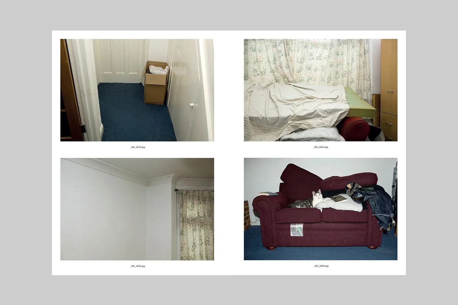 Control Order House image 3