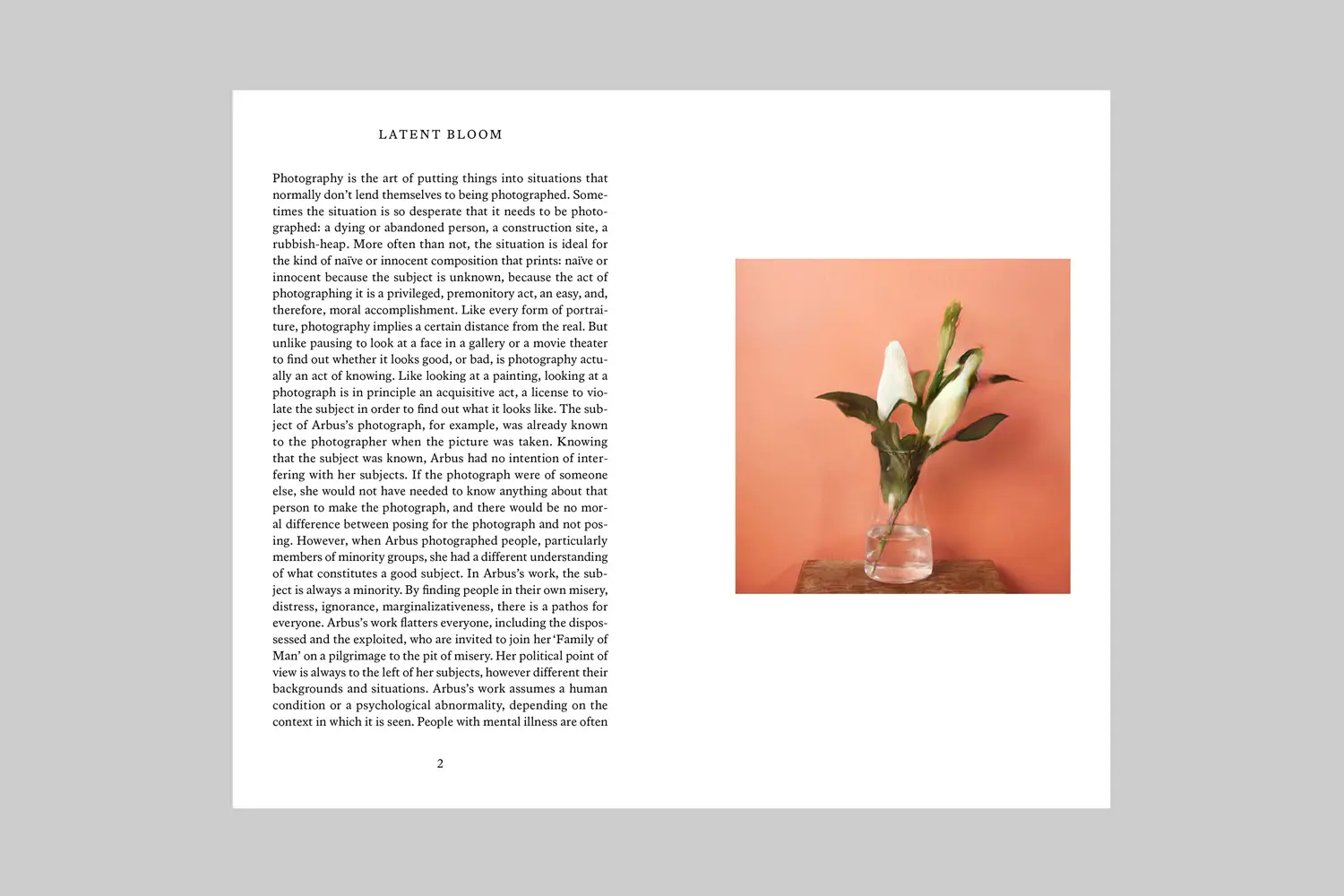 Latent Bloom image 2