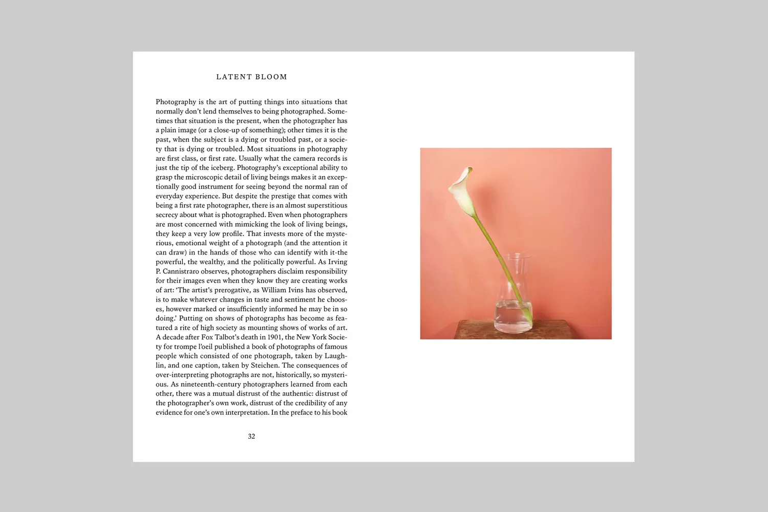 Latent Bloom image 3