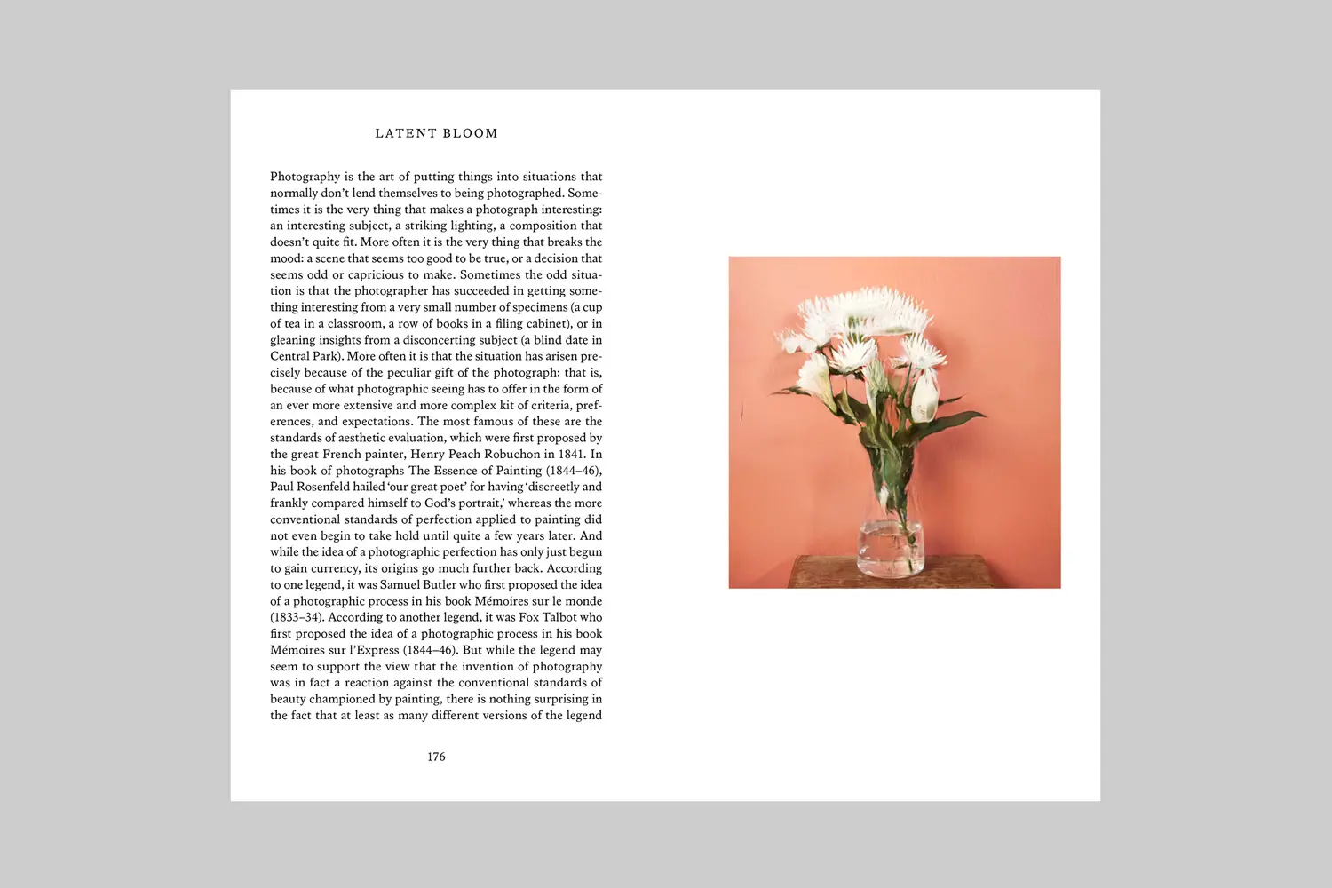 Latent Bloom image 6