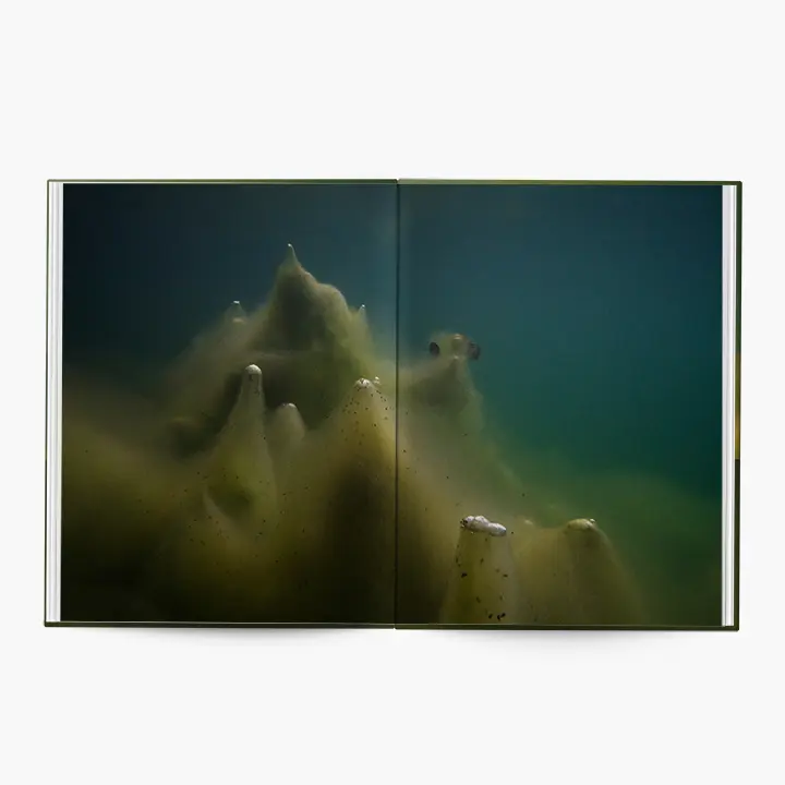 Under Water image 3