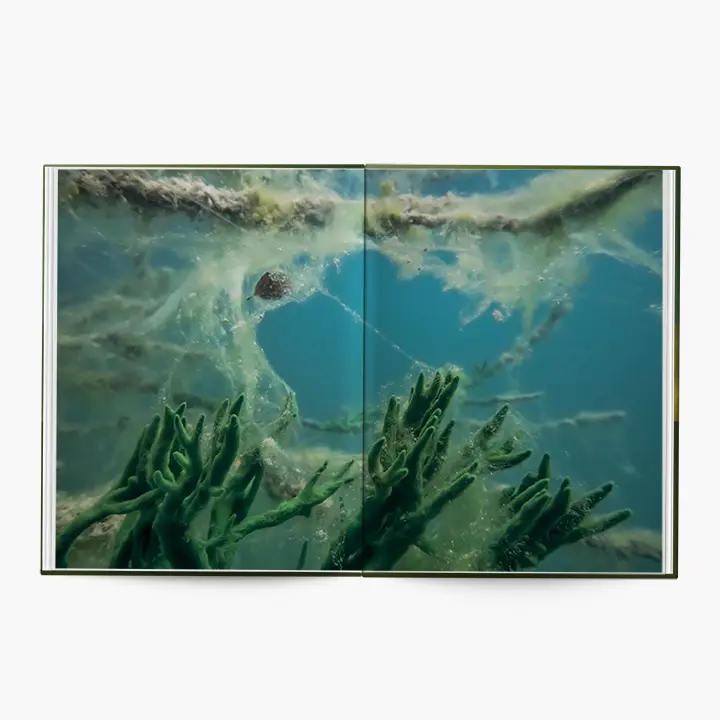 Under Water image 4