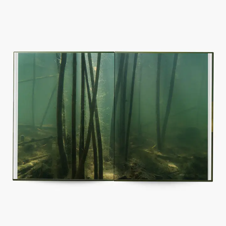 Under Water image 6