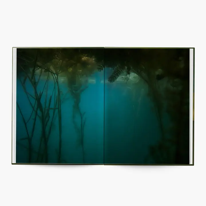 Under Water image 7