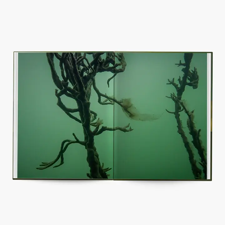 Under Water image 8