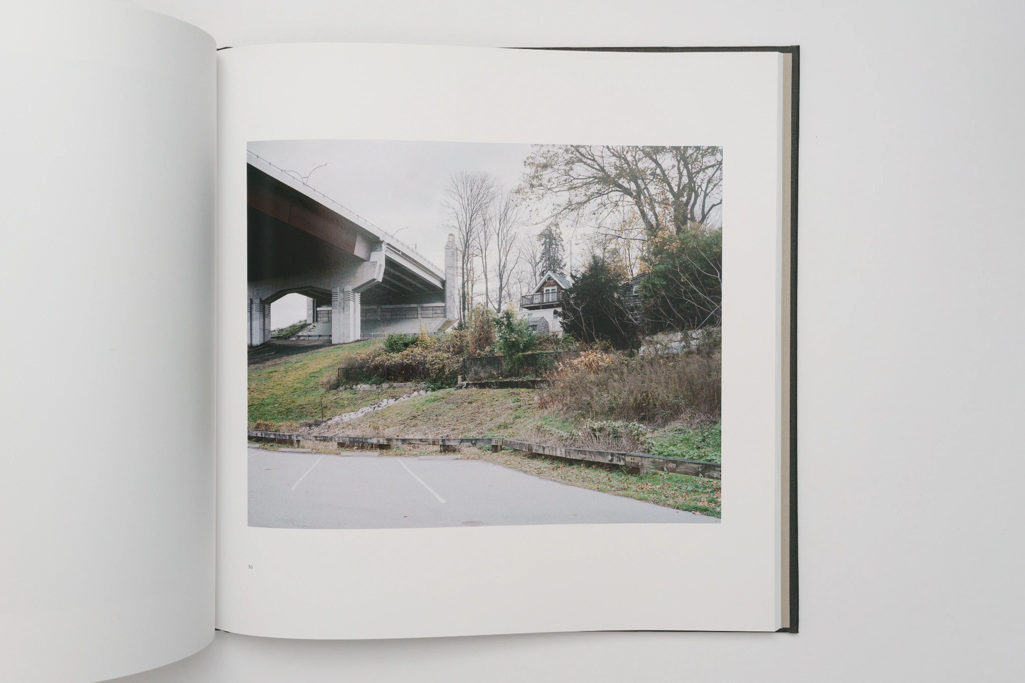 Perennial image 3