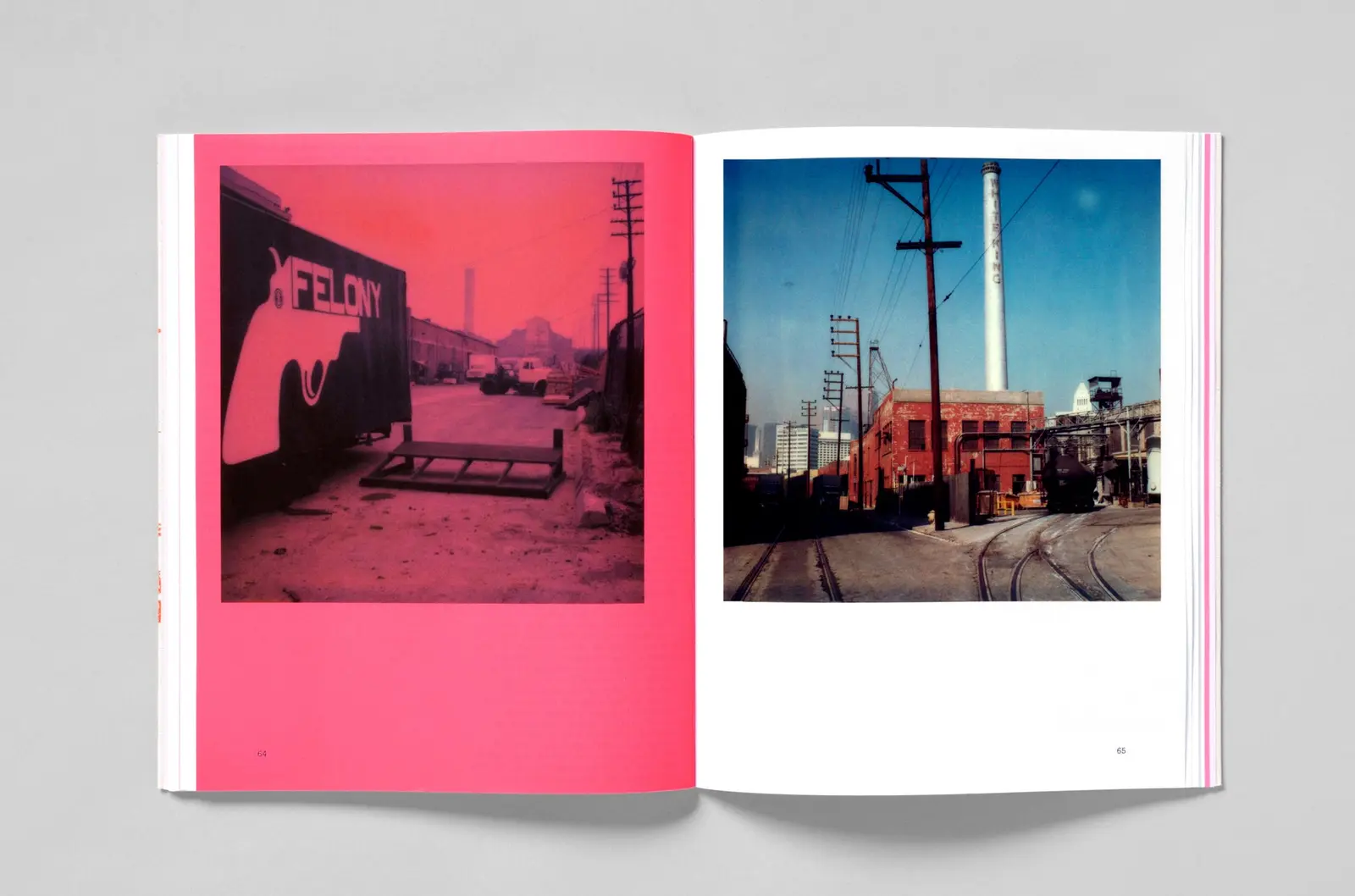 L.A. Polaroids image 8