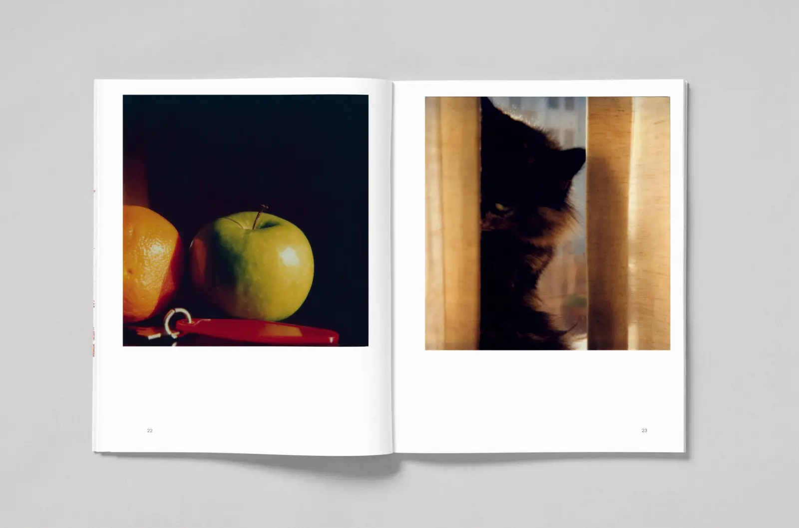 L.A. Polaroids image 11