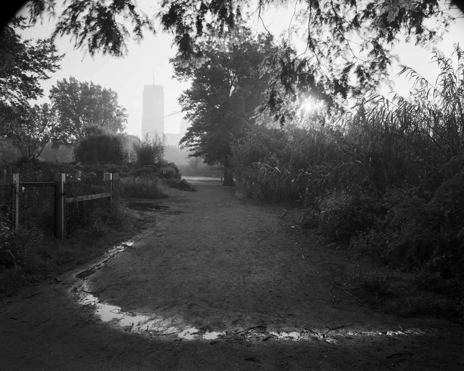 Boston image 5