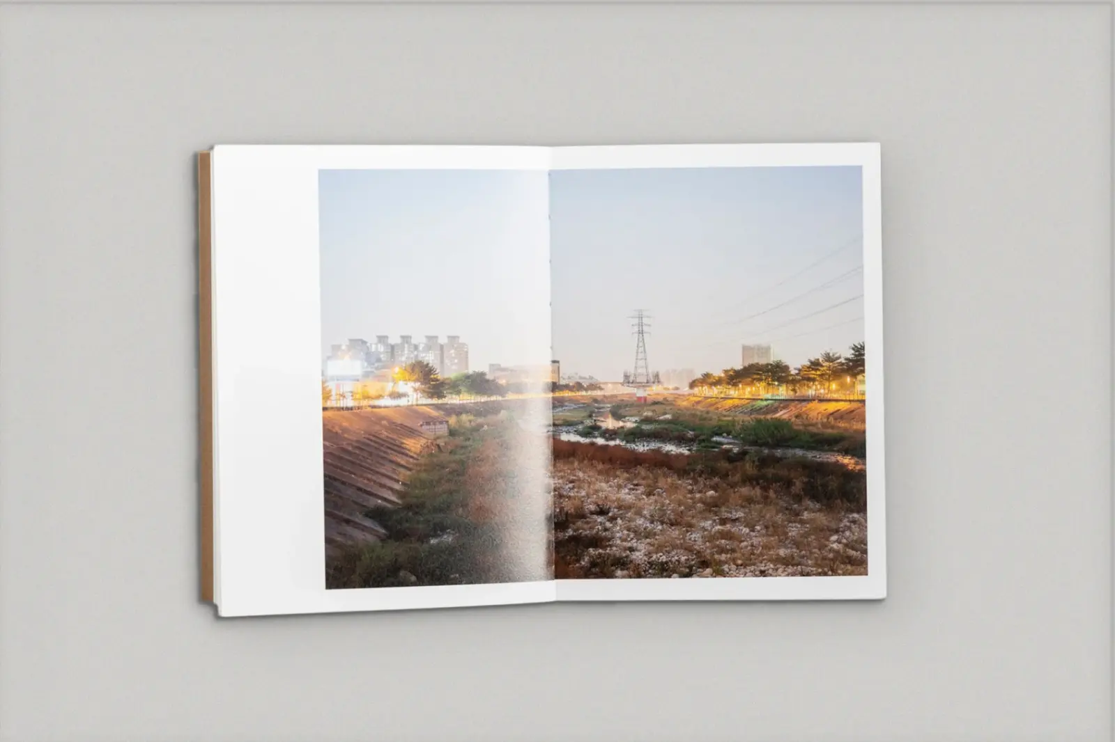 The Death and Life of Great Asian Cities Vol II image 6
