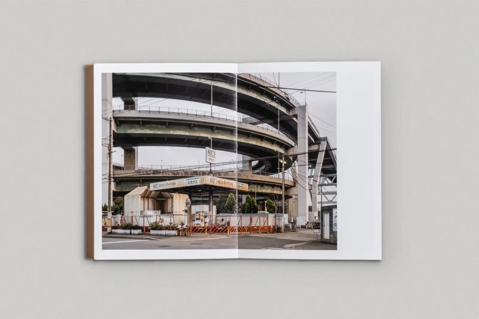 The Death and Life of Great Asian Cities Vol II image 9