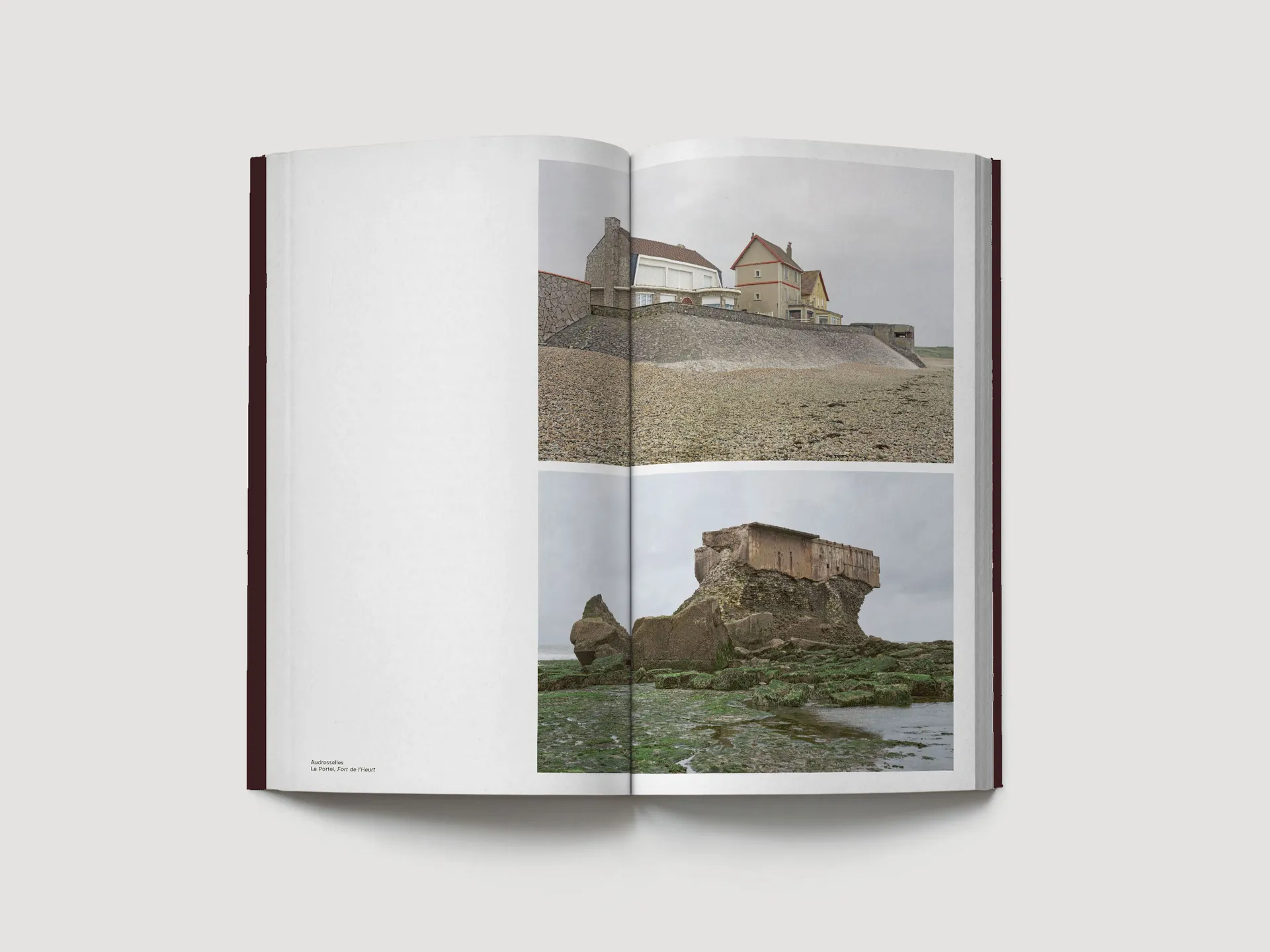 ARN Vol.6 image 2