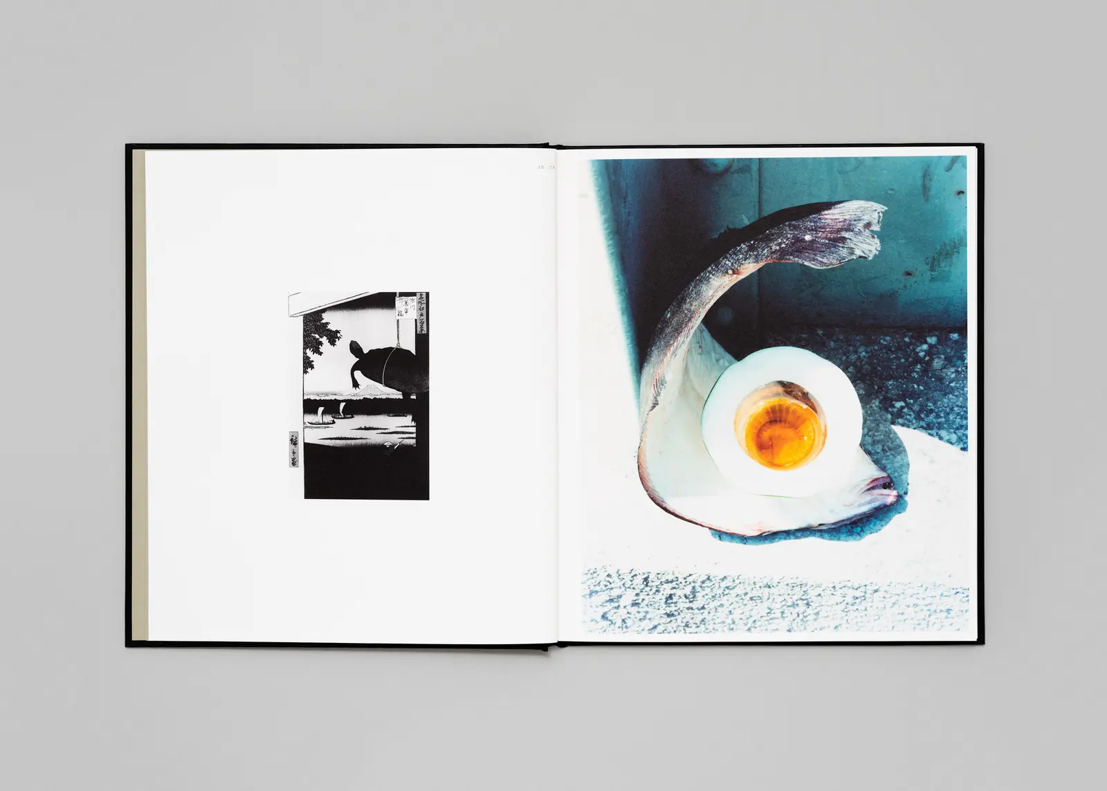 Tokyo Fishgraphs | 2020 image 3