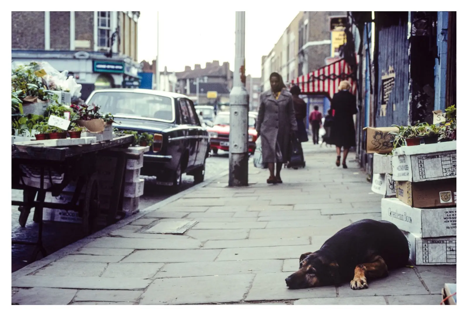 East London 1977 –1980 Series. 2 Books image 11