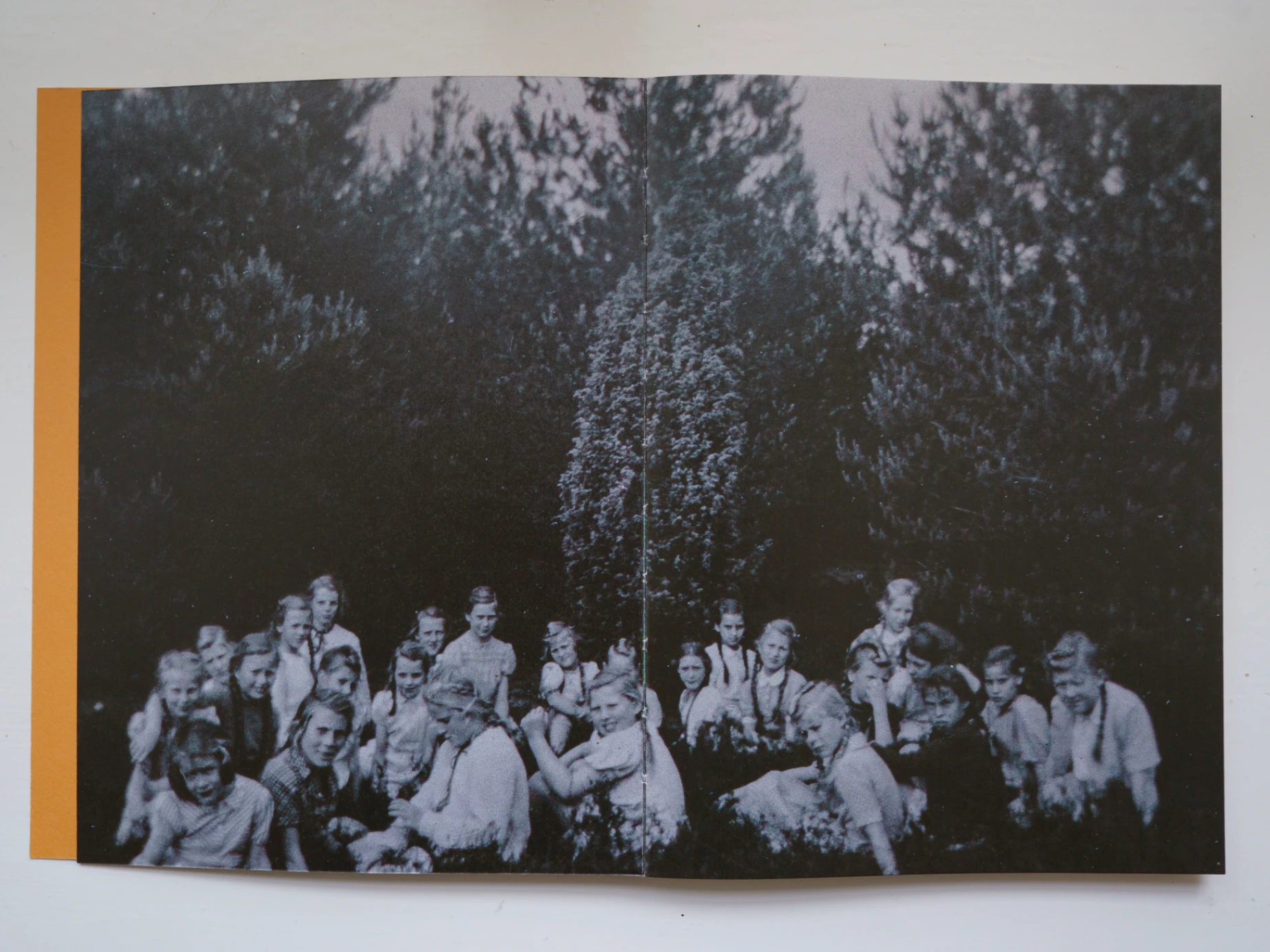 Der Garten meiner Mutter (My Mother's Garden) image 2