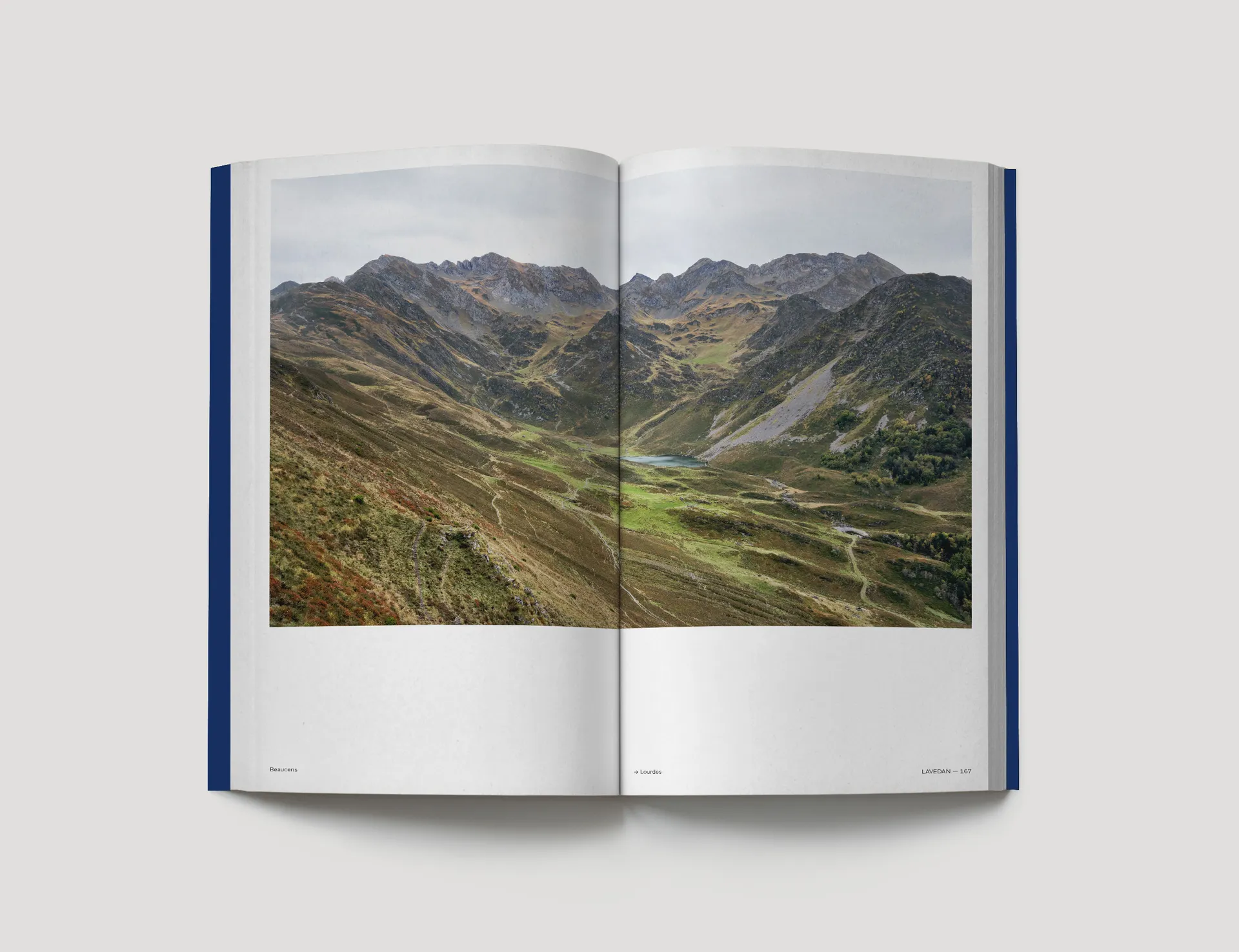 ARN Vol.5 image 6