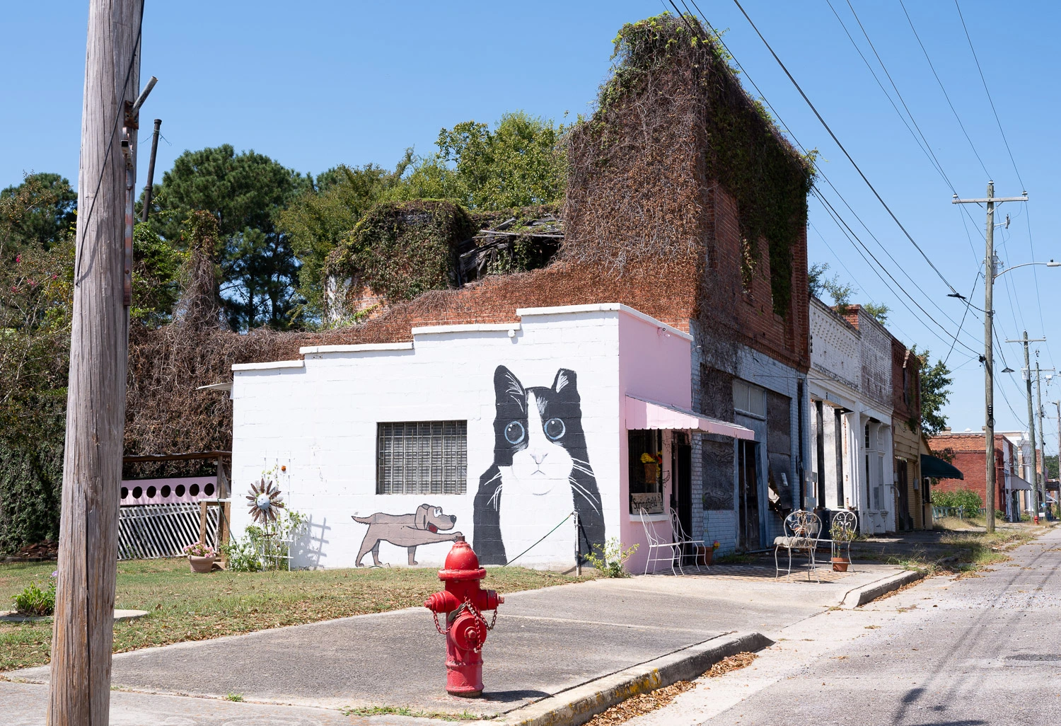 Small Towns, Big Shoes image 10