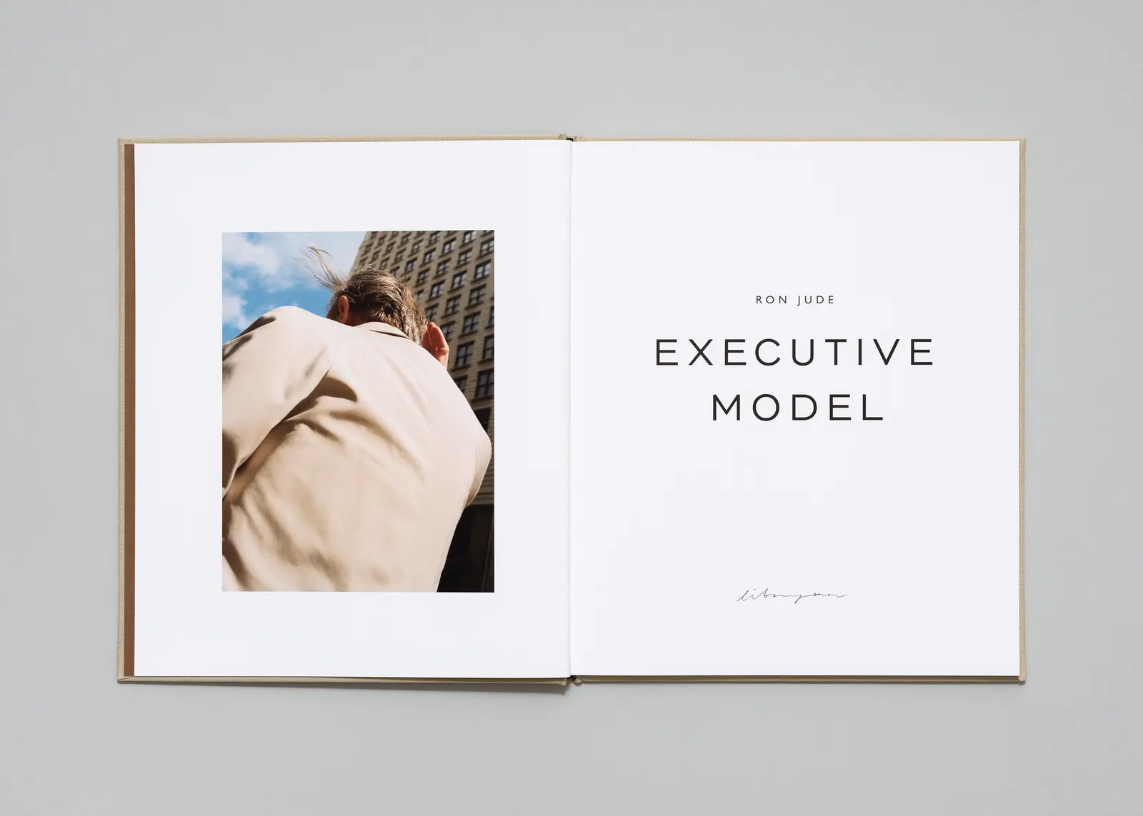 Executive Model 3