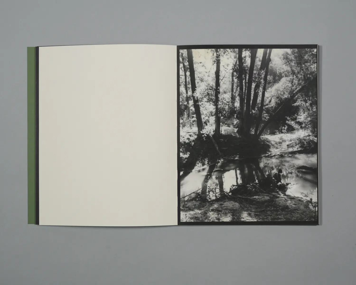 Plumwood 5