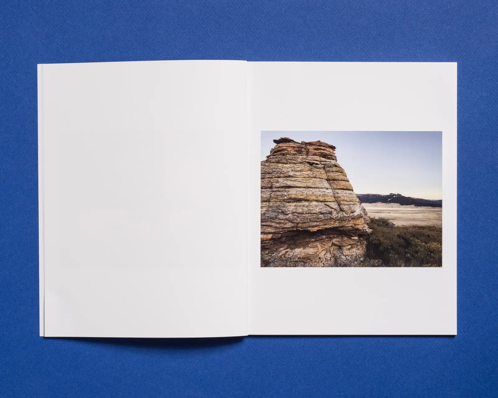 Crow Country image 6