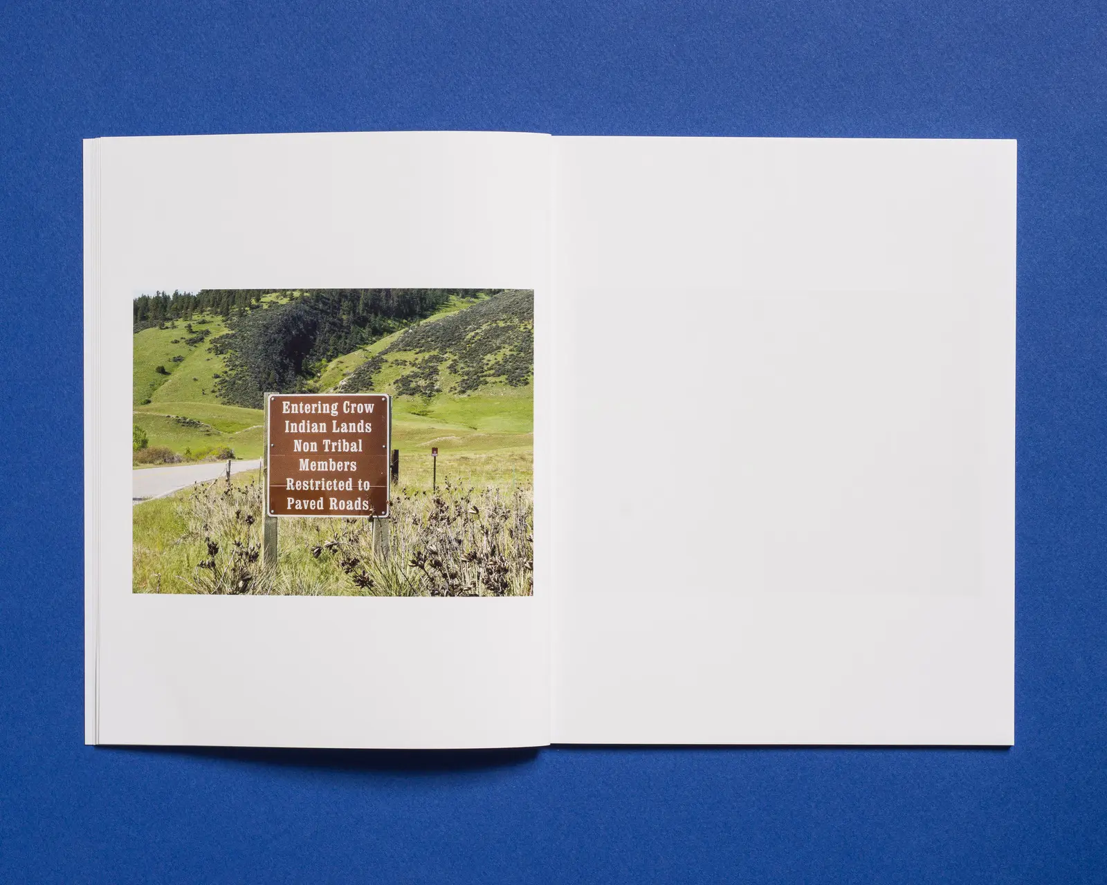 Crow Country image 8