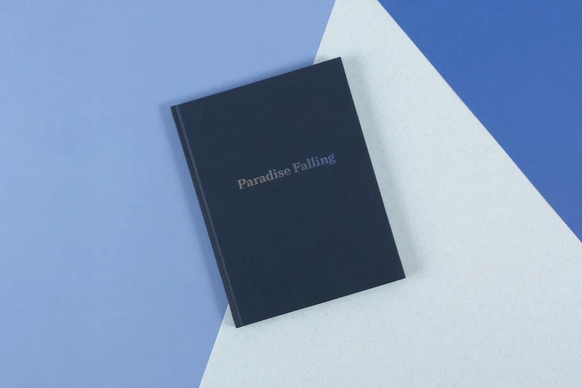 Paradise Falling image 1