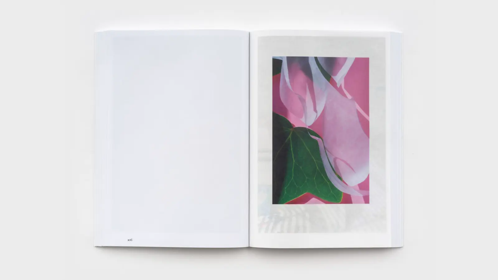 Lilies image 11