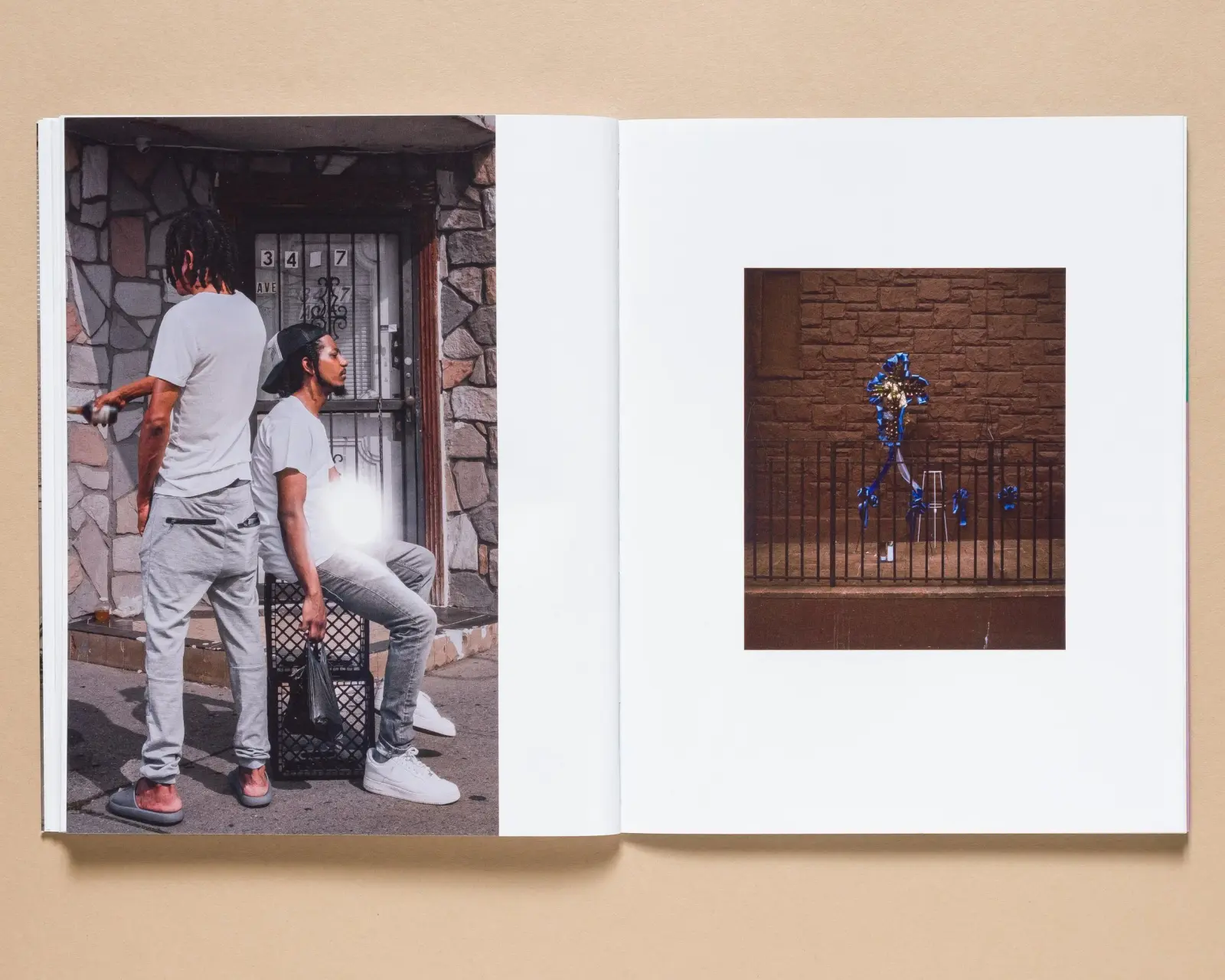 Anthem image 10