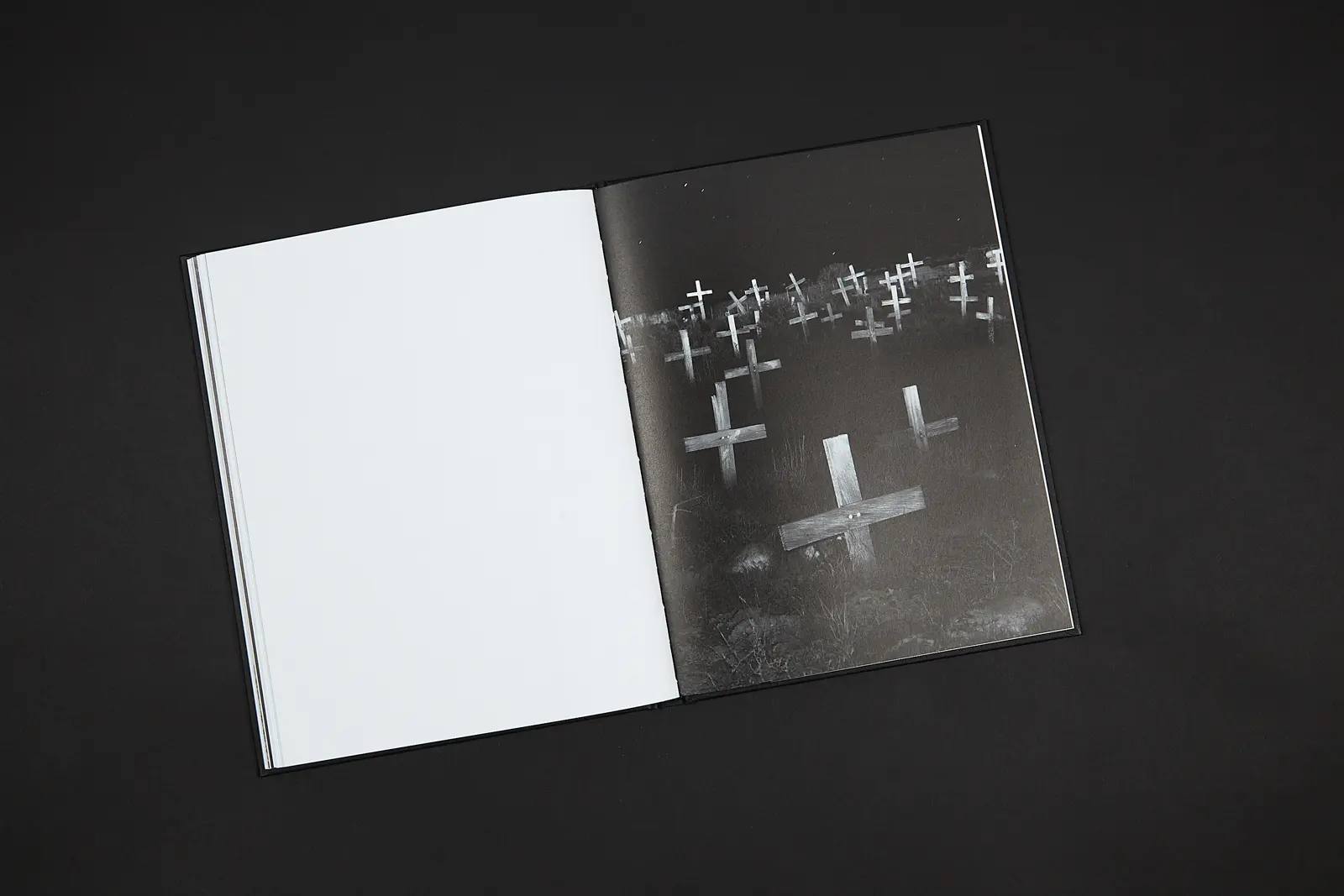 Dead Roads image 3