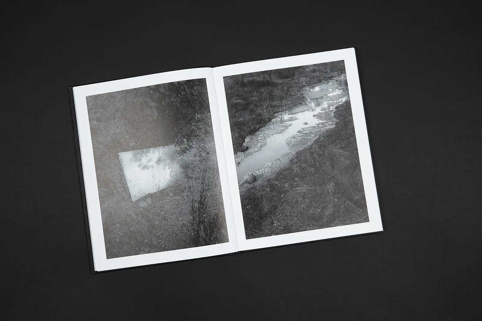 Dead Roads image 6