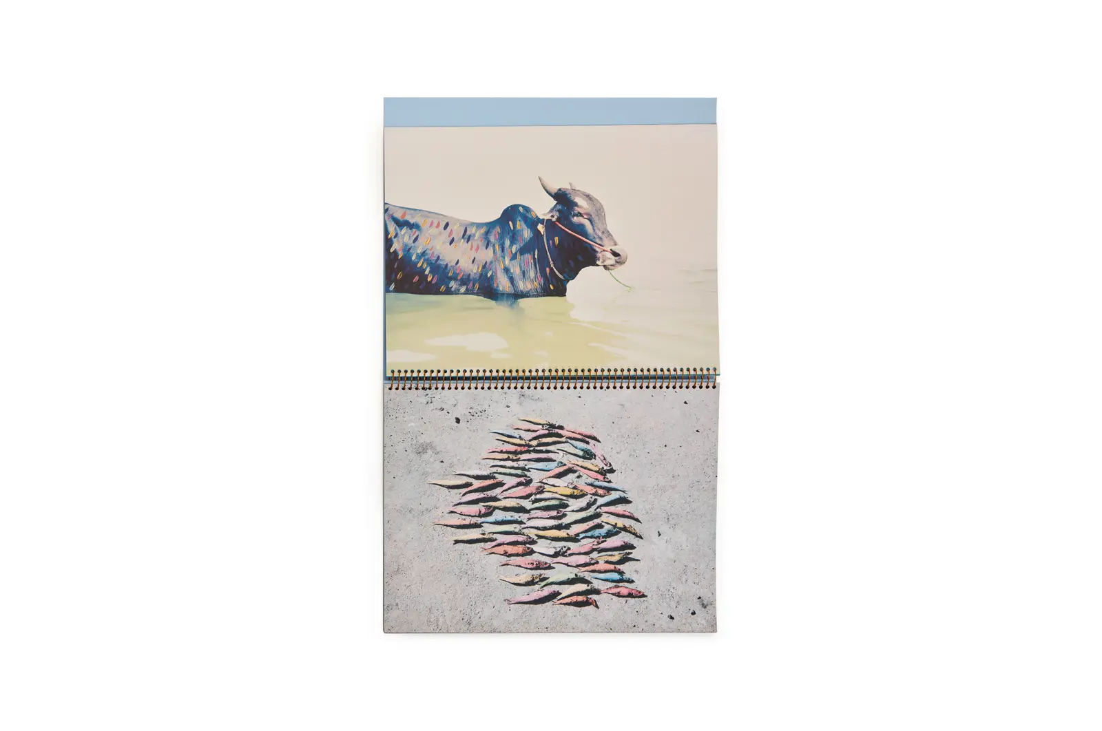 Howling Winds image 6