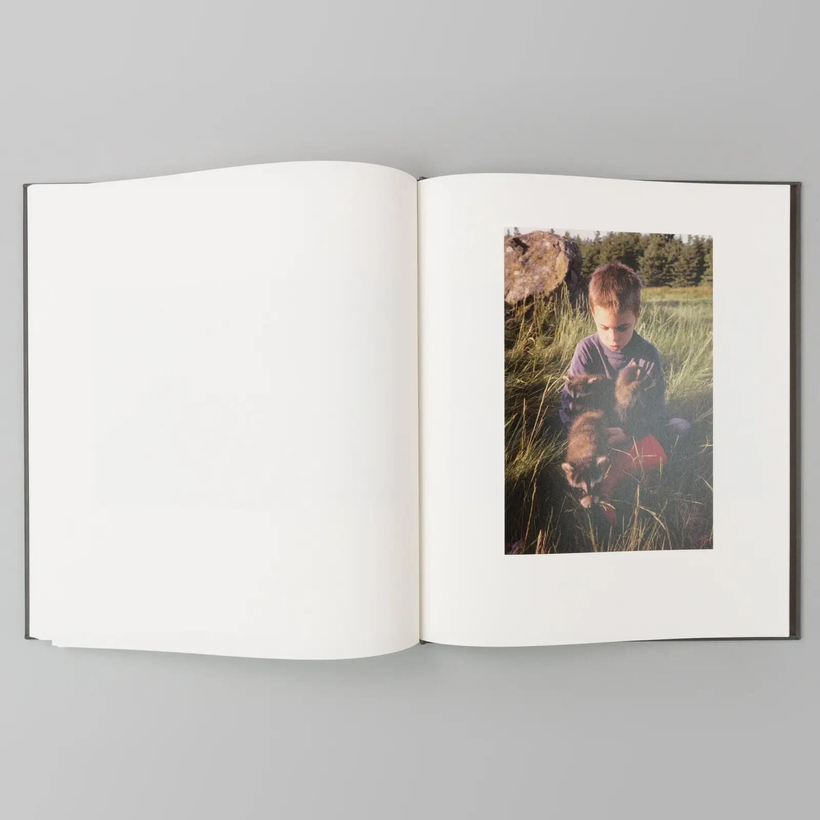 Sealskin image 3