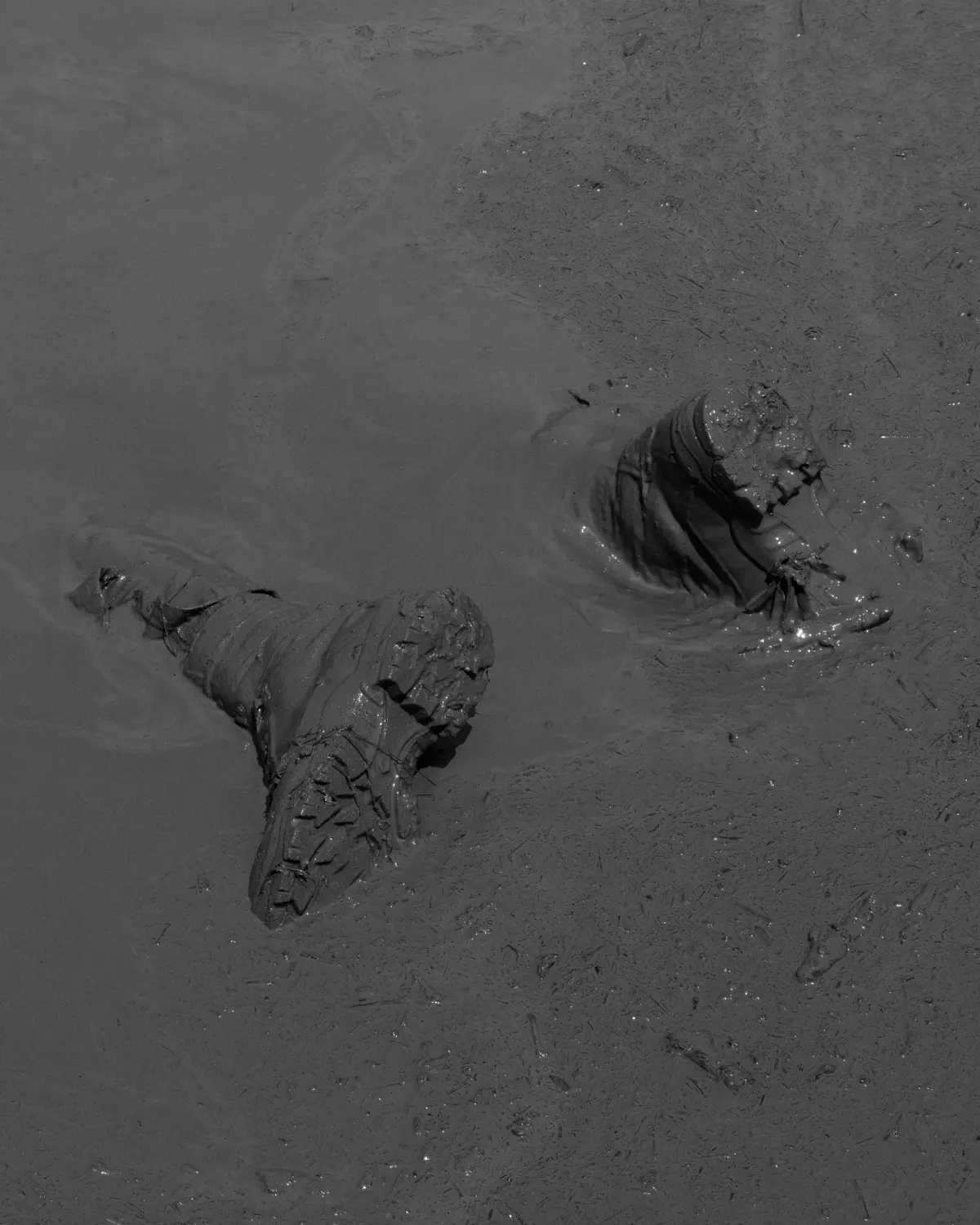 Le Royaume image 3