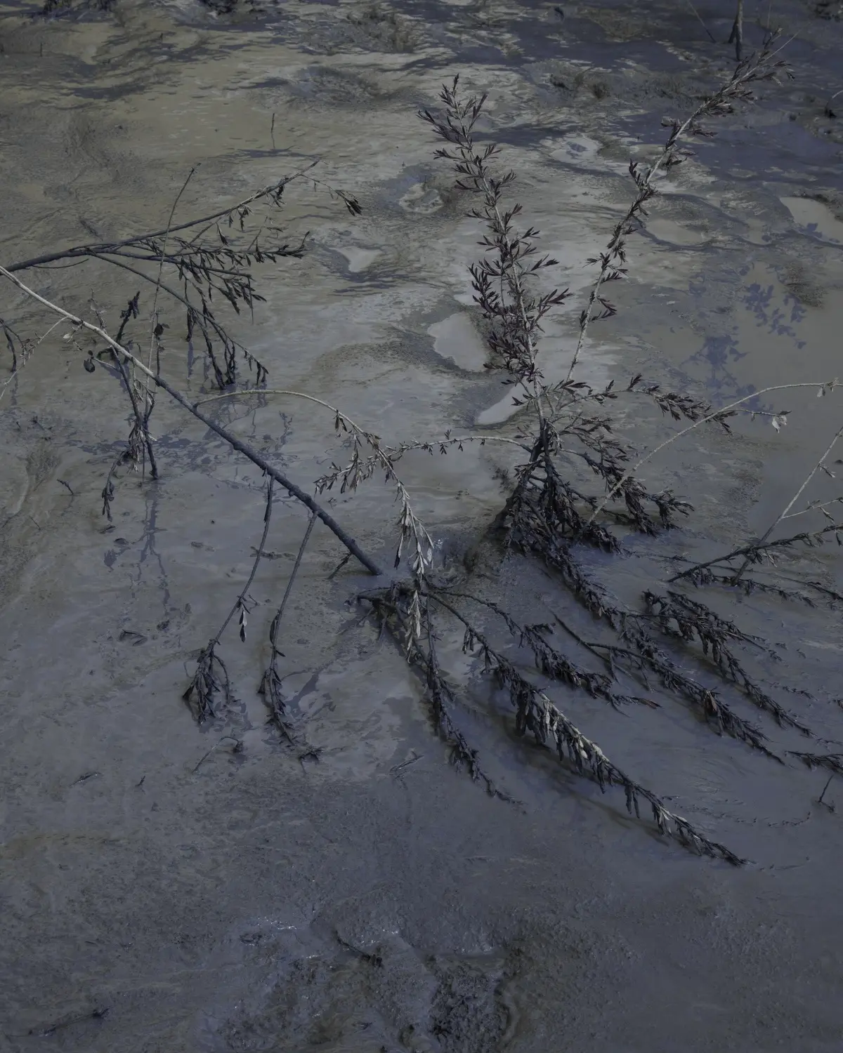 Le Royaume image 4
