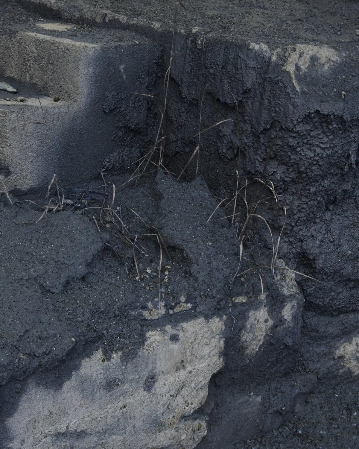 Le Royaume image 6
