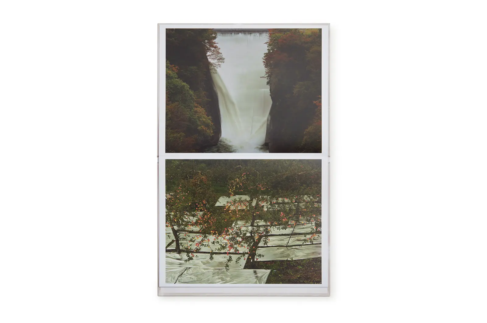 Painting image 4