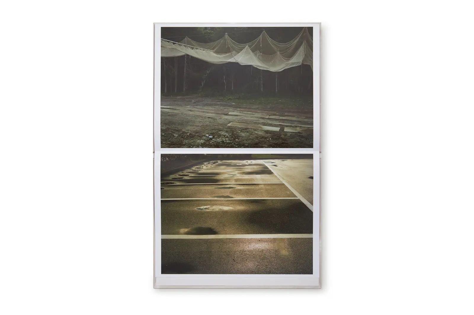 Painting image 7