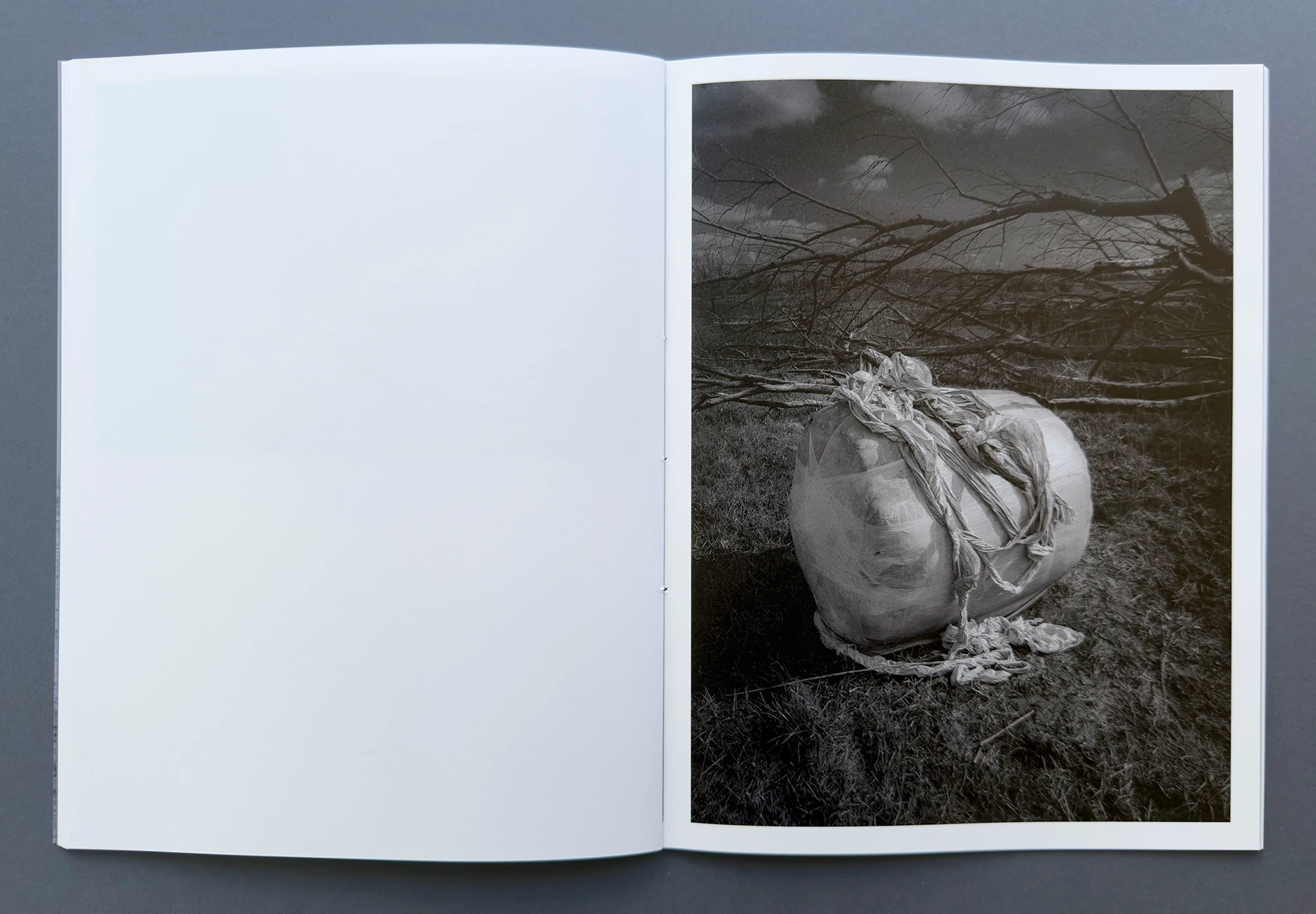 status_05 weites feld image 7