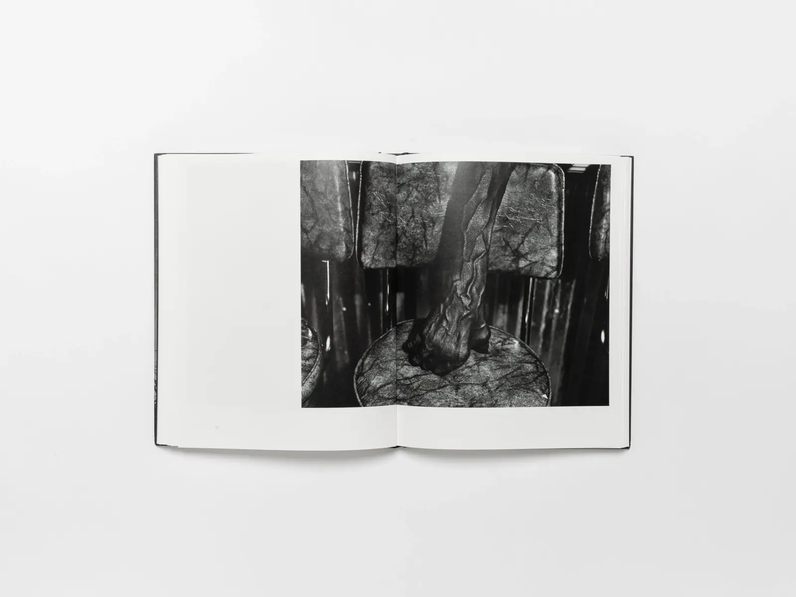 In Light of Everything image 4