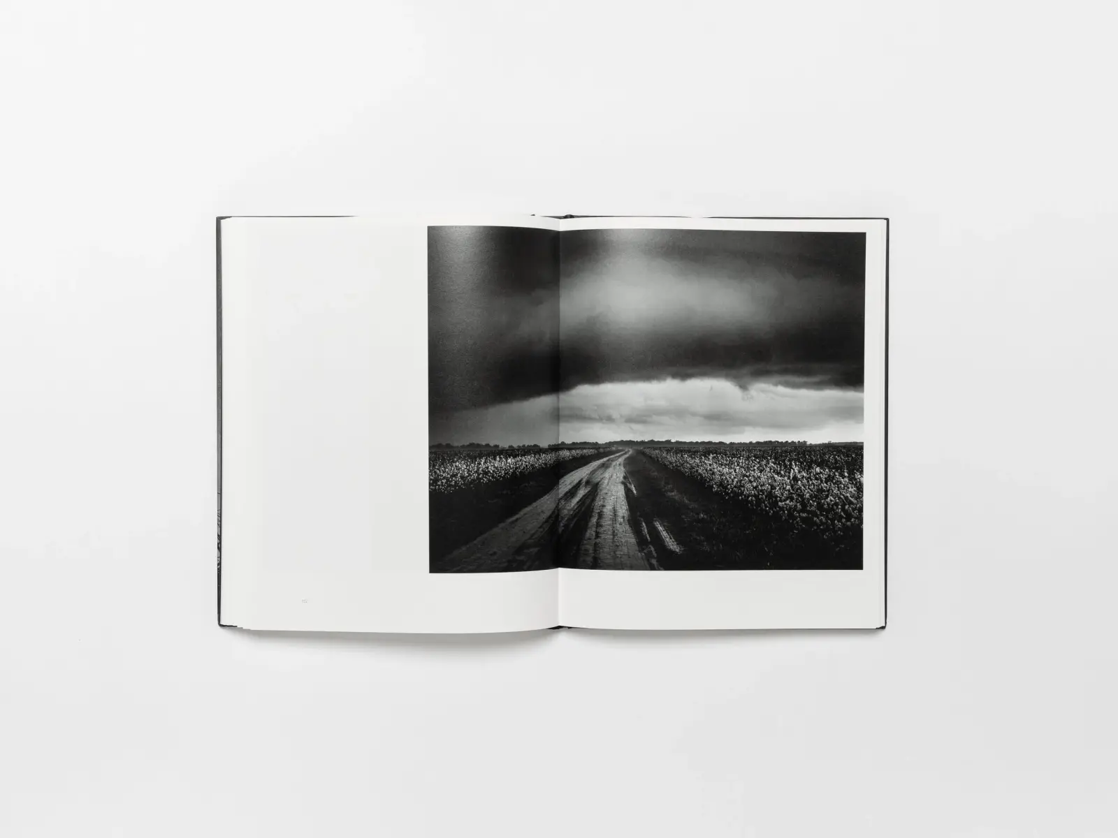 In Light of Everything image 6