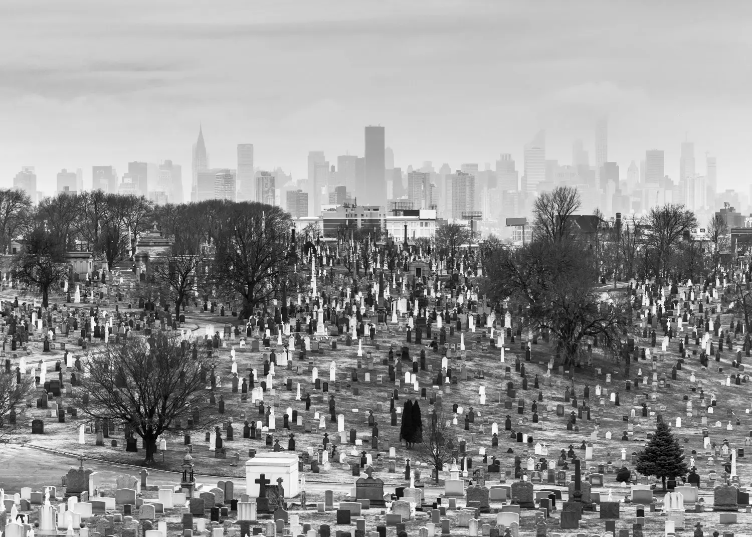 Long Island City image 4