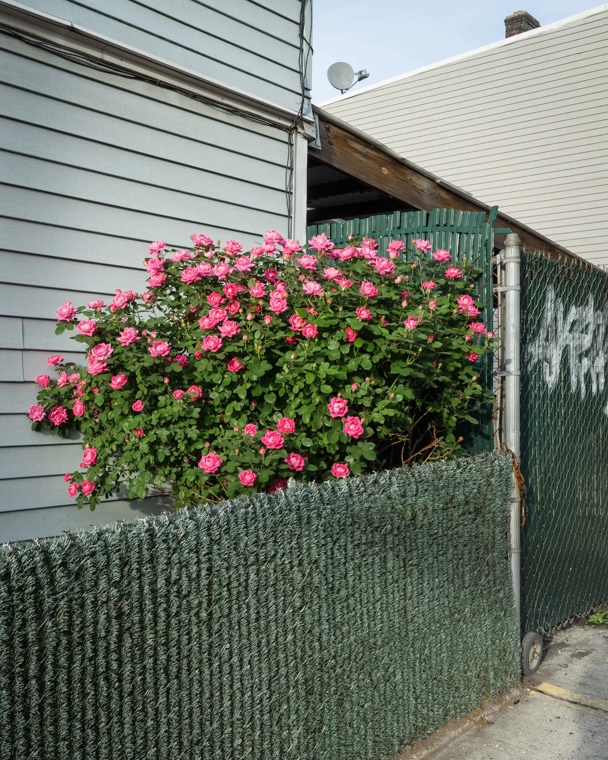 Long Island City image 7