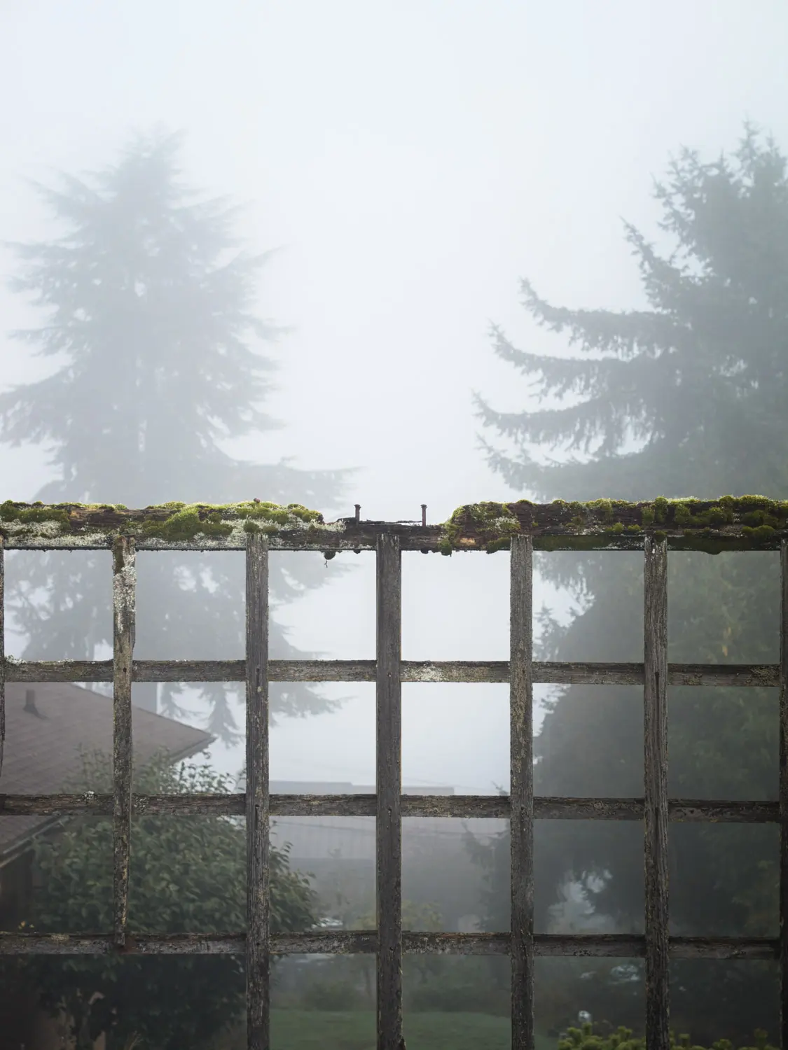 Seattle image 6