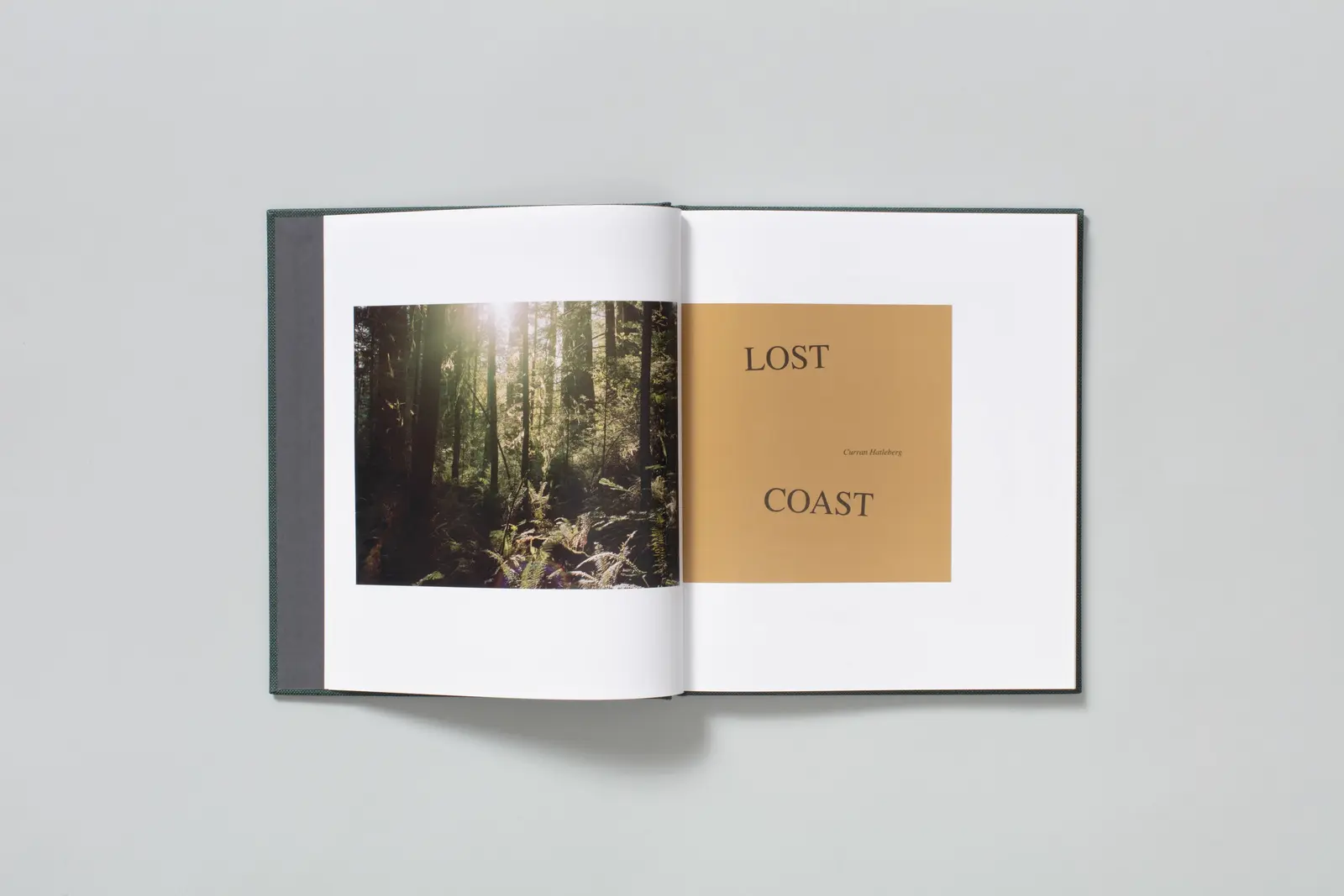 Lost Coast (Second Edition) image 2